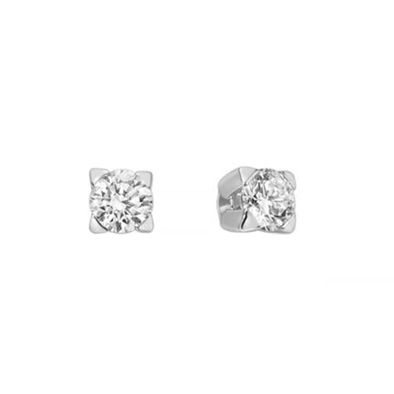 Timeless Radiance Diamond Studs in White Gold
